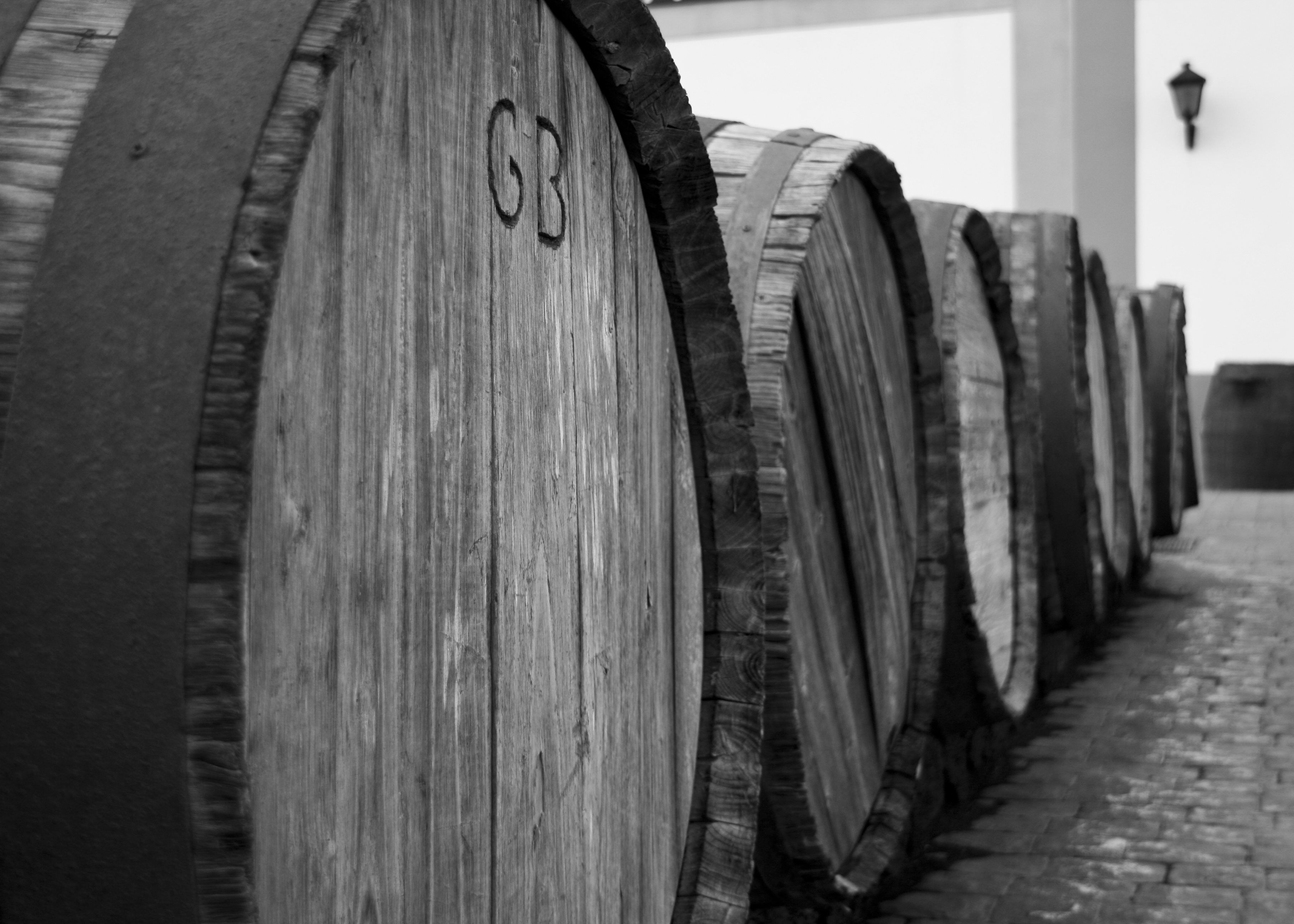 Wine_barrels_outside_vineyard_on_Lanzarote_(3228614079)